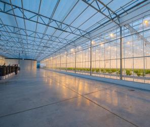   گلخانه های طبقاتی 